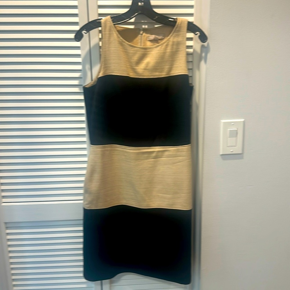 Banana republic lined dress size 10